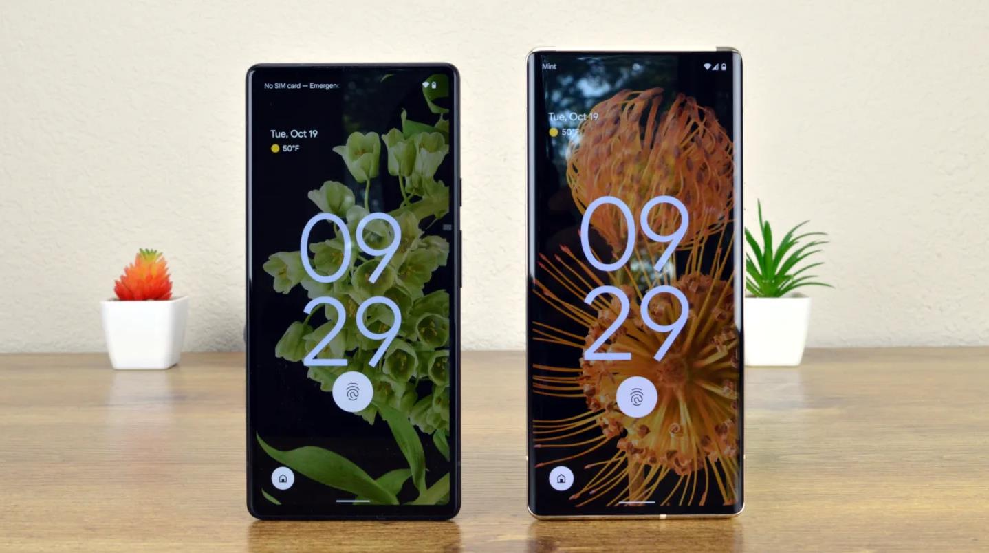 Google Pixel 6 vs. Pixel 6 Pro