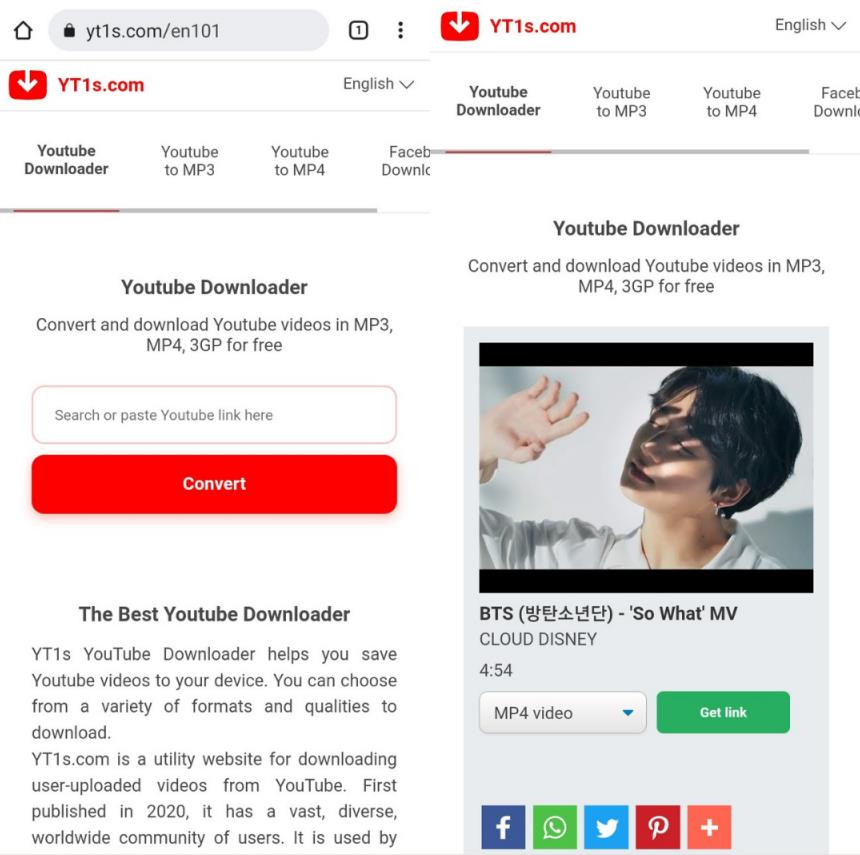 youtube video downloader